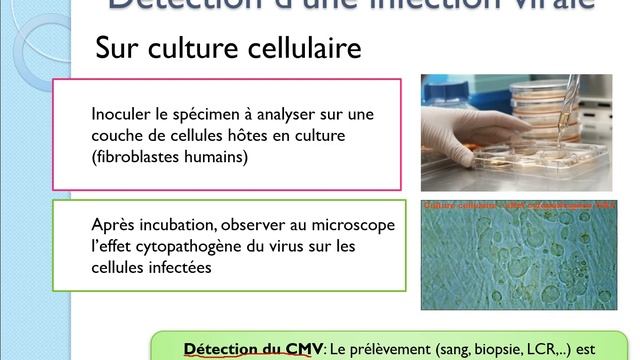 Chapitre 9- Les Virus смотреть онлайн