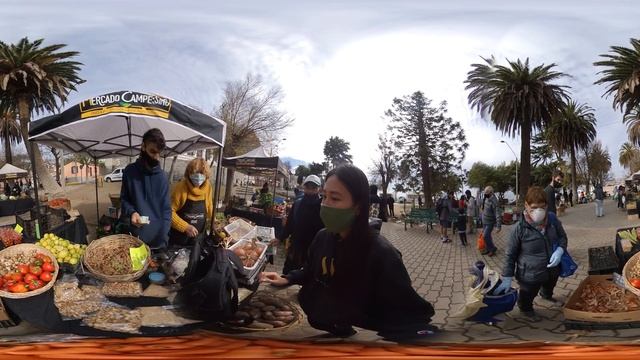 360° The actual CORONAVIRUS situation, Chile. Plaza Bismarck Valparaiso Farmer market смотреть онлайн