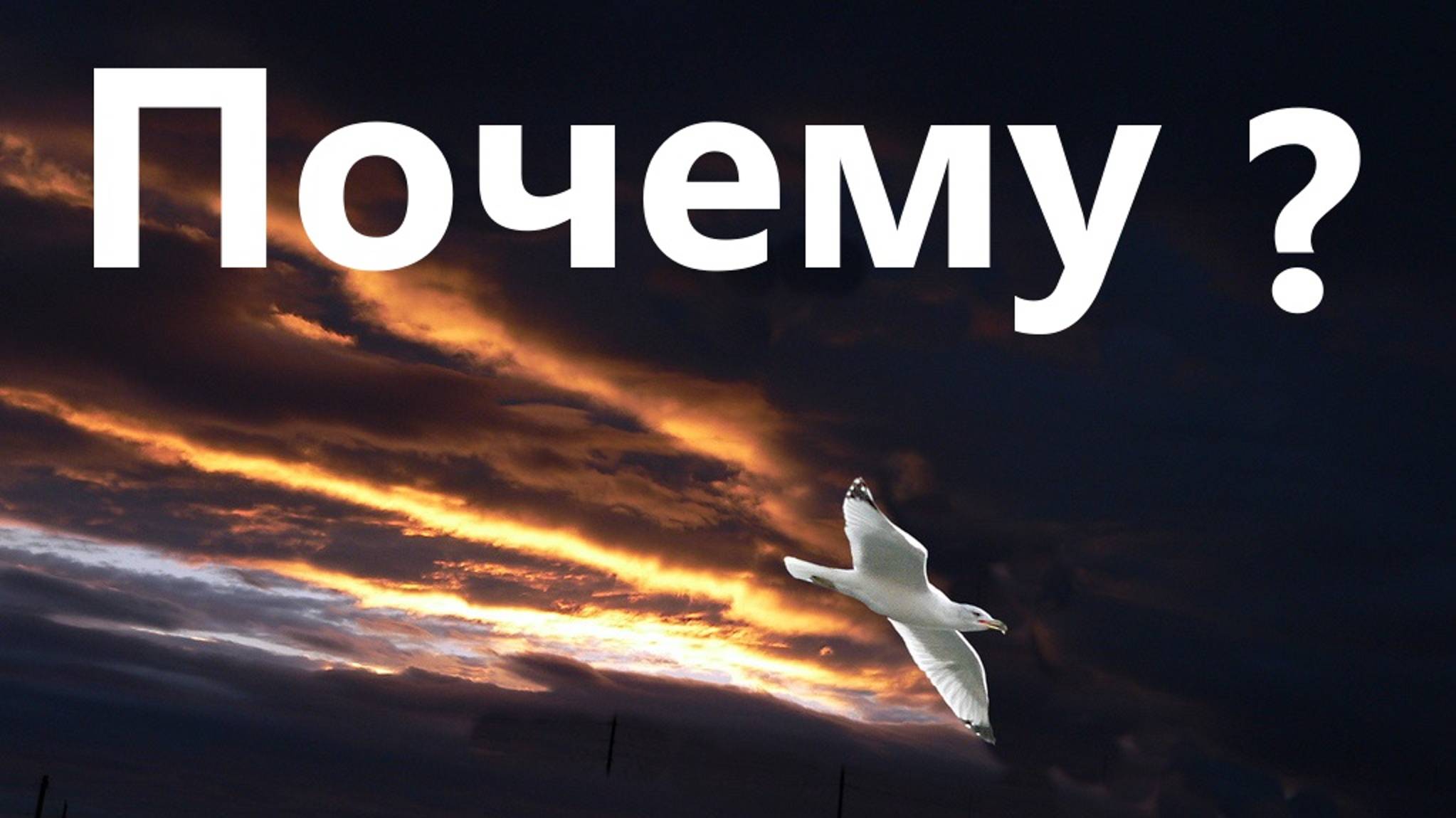 Почему?