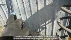 замена передней стойки кашкай J10