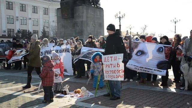 Пикет против живодеров Хабаровск