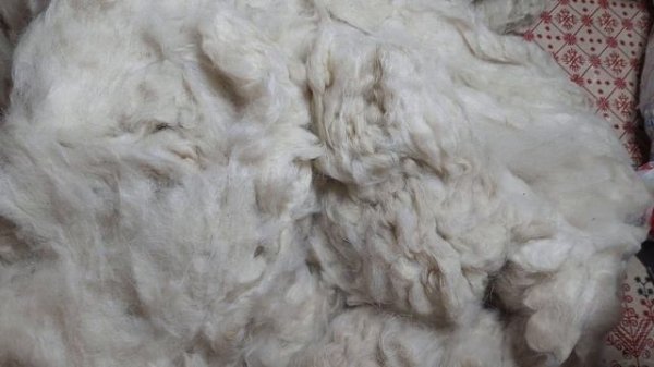 0. Пух от Ержана, вычес Оренбургской пуховай козы. Обзор посылки