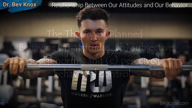 Relationship Between Our Attitudes and Our Behavior – Social Psychology Series смотреть онлайн