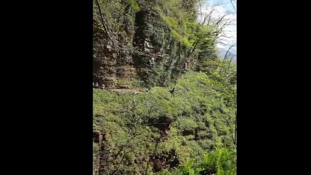 Восточная Абхазия смотреть онлайн