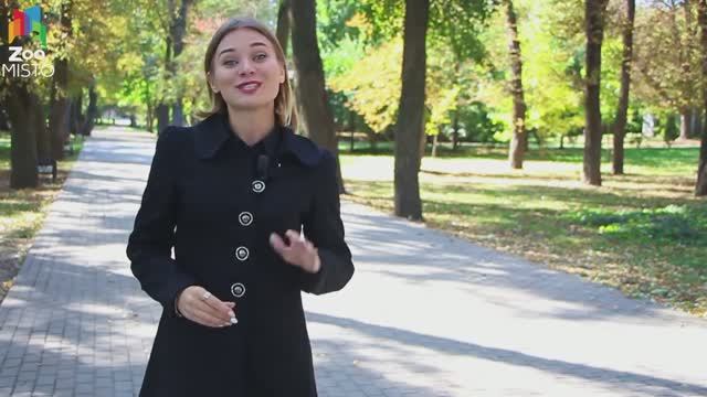 Корм для взрослых кошек Trainer Mature Cat - Обзор смотреть онлайн