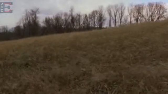 Где была смотреть онлайн