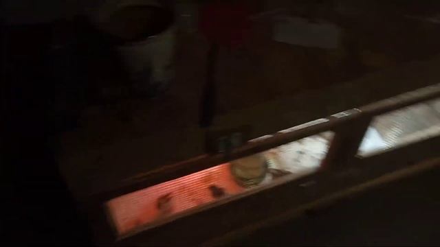 Что с выводом фазанов!? смотреть онлайн