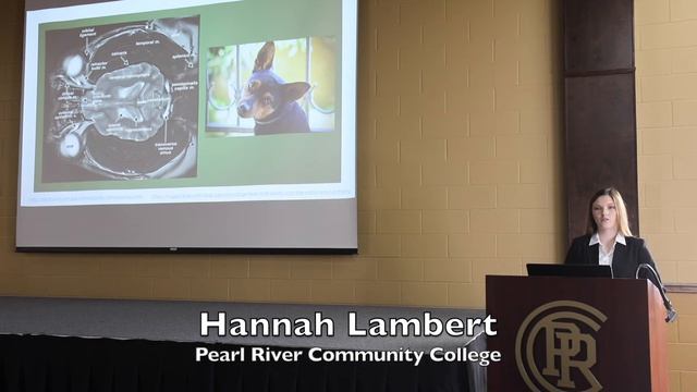 Hannah Lambert 2020 Honors Symposium смотреть онлайн