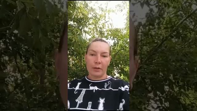 СПАСЕНИЕ СОБАКИ. НОВОСТИ ИЗ КЛИНИКИ. смотреть онлайн