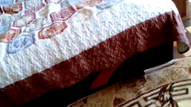 10 способов ударить собаку смотреть онлайн