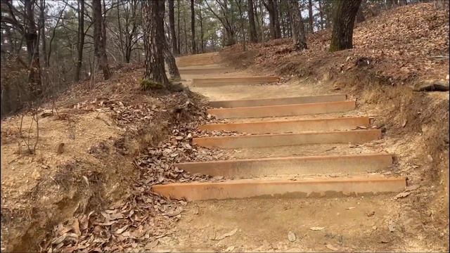 ЗАБРАЛСЯ НА ГОРУ РАДИ ЭТОГО ВИДА смотреть онлайн