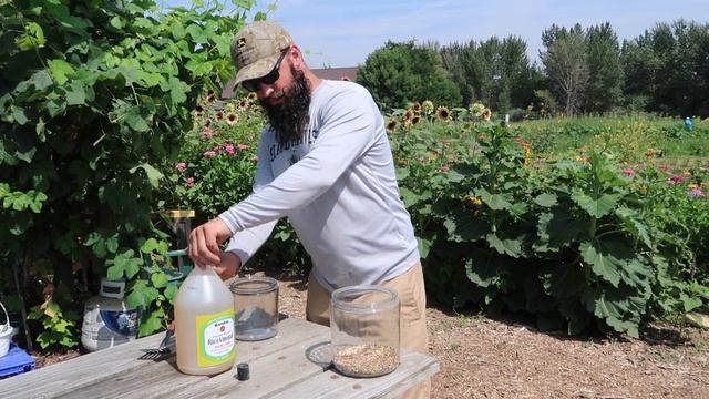 Korean Natural Farming How to: WCA with eggshells смотреть онлайн
