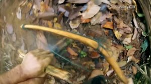 2 сезон 5 серия Борнео