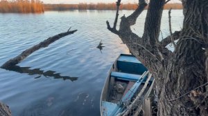 Краснодарский край станица Васюринская отличное место для рыбалки 🐟🐟🐟 но нужна лодка