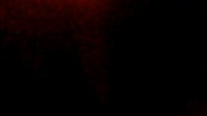 Роман Широков разговор с болельщиками