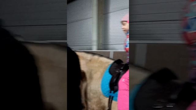 Занятие иппотерапией. Маша (ДЦП) вырабатывает правильную осанку. смотреть онлайн