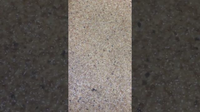 Комар под спайсом!!!)) смотреть онлайн
