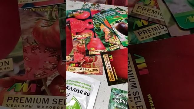 А они все манят и манят!)) #зима #томаты# смотреть онлайн