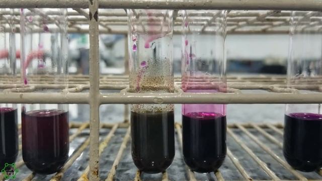 Oxidación de Alcoholes con KMnO4 en Medio Ácido смотреть онлайн