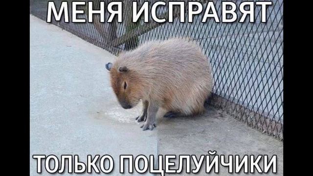 Операционная система по мотивам "Экспериментов Лэйн"? Да смотреть онлайн
