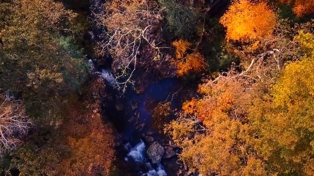 Haiku Music Video