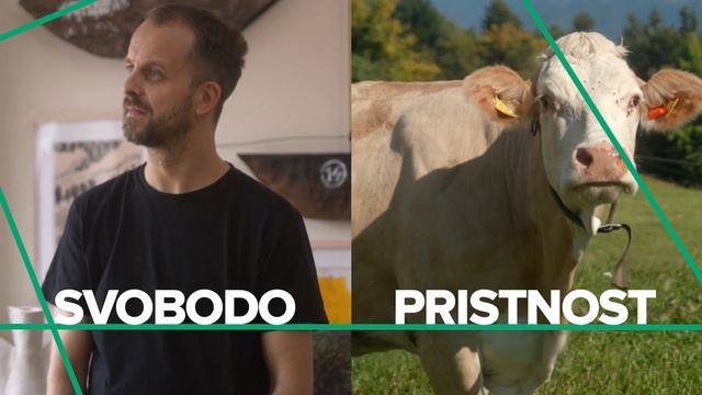 Nenad Cizl X Bora смотреть онлайн