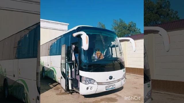 toshkent buxoro taksi смотреть онлайн