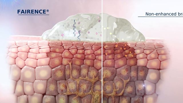 3D Mode of Action | FAIRENCE® - A Novel Tranexamic Acid Cream for Melasma смотреть онлайн