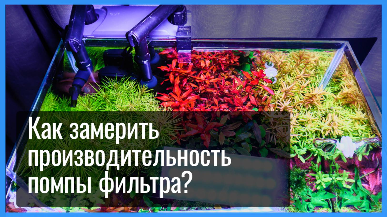 Как ЗАМЕРИТЬ фактическую ПРОИЗВОДИТЕЛЬНОСТЬ ПОМПЫ аквариумного фильтра. Какой ОБЪЕМ КАНИСТРЫ выбрать смотреть онлайн