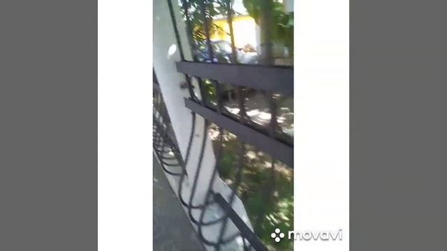 Затока 2020 г. "Арлен" смотреть онлайн
