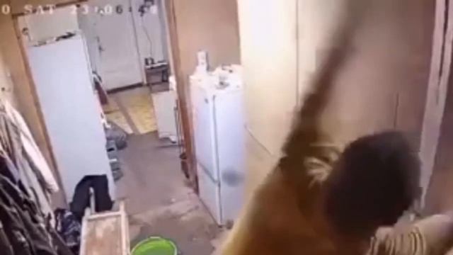 Веселье новогоднее смотреть онлайн