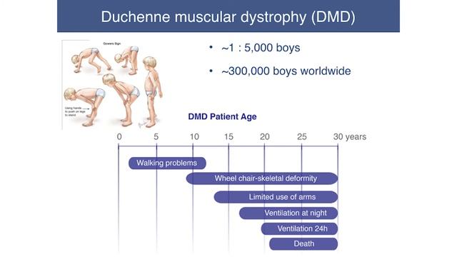 Understanding your most important tissue – President's Lecture смотреть онлайн