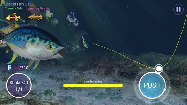 LANA Basic VENOM SPIDER RECLUSE SNARE Champion Angler【釣魚大亨 Fishing Strike】 смотреть онлайн