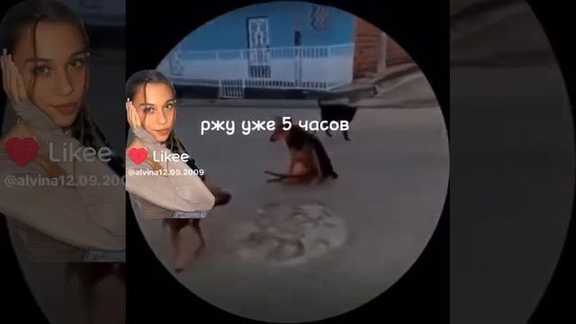 Эта собака не успела потом убежать смотреть онлайн