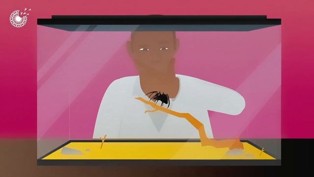 A Spider Inspired Solution to Sustainable Fashion | Turning Liquid Into Thread=The Future of Design смотреть онлайн