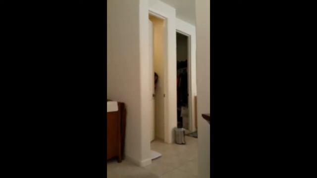 Yoda the cat смотреть онлайн