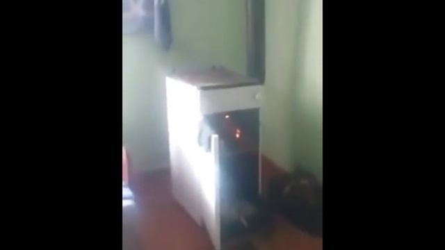 Am bagat spray-ul in soba. смотреть онлайн