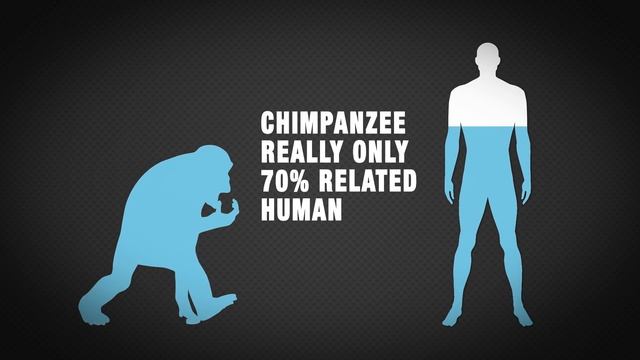 Are Humans Really Related to Chimpanzees? смотреть онлайн