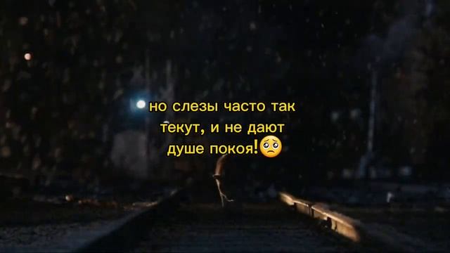#драма#лучшая#голливудские Хатико. Невероятно душераздирающая история! смотреть онлайн