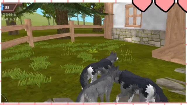 🍀что пишут про вилд крафт? странные ОТЗОВЫ🍀|вилд крафт| смотреть онлайн