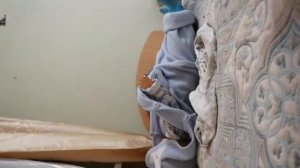 лиама рвёт / в больнице / сдаём анализы на глисты 🦠😷🤮🤒😭