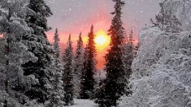 Закат в лесу. Новогодний футаж. Зимний футаж. Красивый футаж для видео. смотреть онлайн