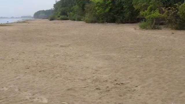 Субботник Казанский пляж.wmv смотреть онлайн