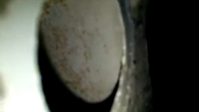 Состояние левого порога Camry 2004 г. изнутри смотреть онлайн