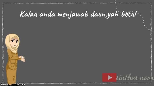 Anabolisme Proses Foto sintesis Kelas XII SMA смотреть онлайн