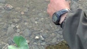 Добывание берёзового дёгтя для использования в качестве репелента