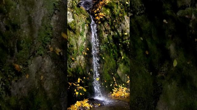432 Hz Musik Tiefe Heilung Schwingung erhöhen Heilungsmusik Wasserfall смотреть онлайн