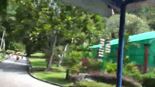 Penang Botanical Garden Train Ride смотреть онлайн