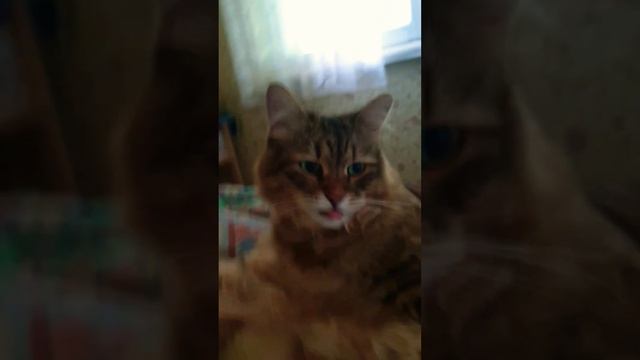 16 июня 2024 г.