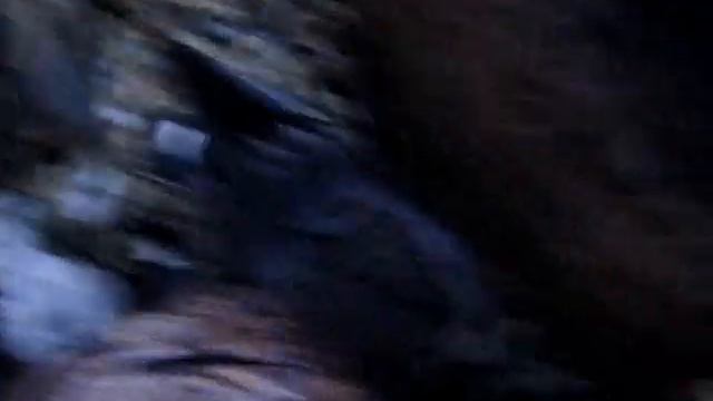 Охота на гуся. Вторая утрянка. смотреть онлайн